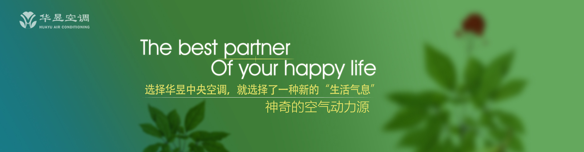 楚歌四起网
